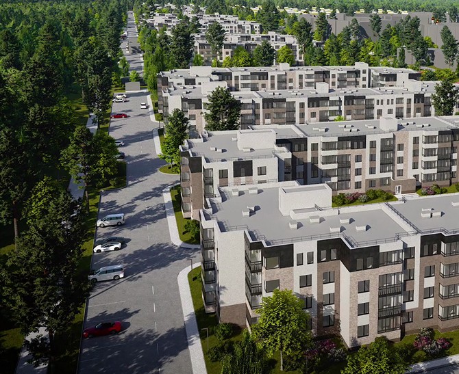 Вид из окна